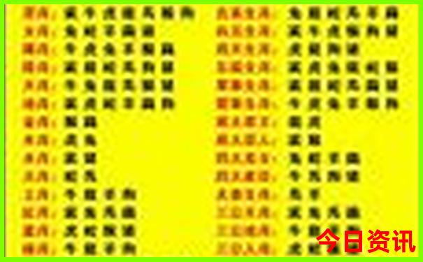 2025新澳门最精准免费公开